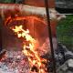 SAJ grill świnia